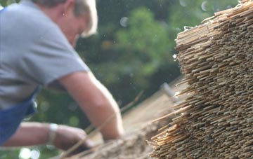 professional Flemingston thatchers