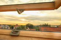 rated Flemingston roof window companies